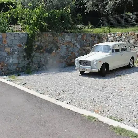 Il Profumo Degli Ulivi