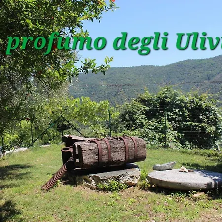 Il Profumo Degli Ulivi *